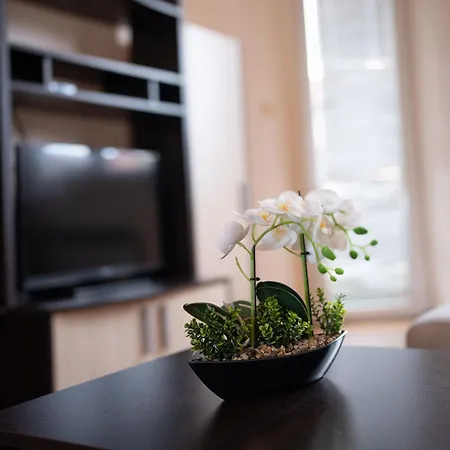 One-bedroom In The Center